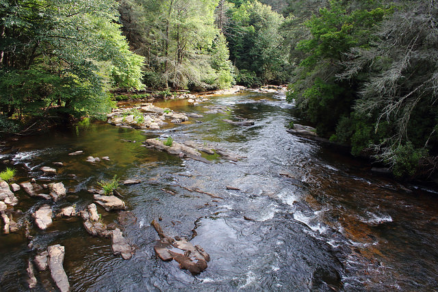 Trout Fishing in North Georgia: Tips & Spots Blue Sky Cabin Rentals